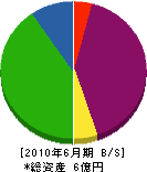 永井クレーン工業 貸借対照表 2010年6月期