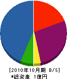 大月電気事務所 貸借対照表 2010年10月期