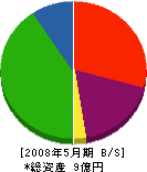 豊田建材 貸借対照表 2008年5月期