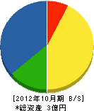 長井商会 貸借対照表 2012年10月期