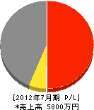 篠塚工業所 損益計算書 2012年7月期