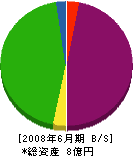 上野藤土建 貸借対照表 2008年6月期