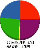 大濱組 貸借対照表 2010年6月期