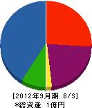 片山電気工事 貸借対照表 2012年9月期