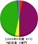 上野藤土建 貸借対照表 2009年6月期