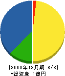 羽田組 貸借対照表 2008年12月期