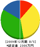 角井工務店 貸借対照表 2009年12月期