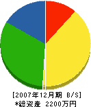 菊実建設 貸借対照表 2007年12月期