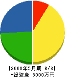 島崎組 貸借対照表 2008年5月期