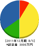 筒井鉄工所 貸借対照表 2011年12月期