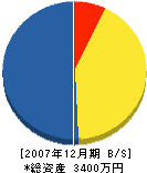 松原組 貸借対照表 2007年12月期