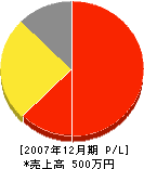隠塚旭翠園 損益計算書 2007年12月期