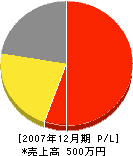 渡辺建築板金店 損益計算書 2007年12月期