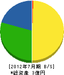 志村電気設備 貸借対照表 2012年7月期