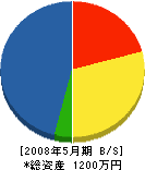 カナヤマ産業 貸借対照表 2008年5月期