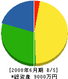 八反田商会 貸借対照表 2008年6月期