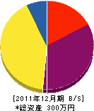 藤川建設 貸借対照表 2011年12月期