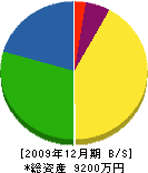 浜田建装 貸借対照表 2009年12月期