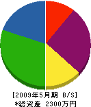田中建設 貸借対照表 2009年5月期