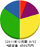 岡澤電気商会 貸借対照表 2011年12月期