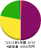 辻鉄工 貸借対照表 2012年6月期