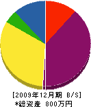 齋藤工務店 貸借対照表 2009年12月期