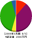 松浦電気工事 貸借対照表 2009年3月期