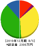 桜井造園 貸借対照表 2010年12月期