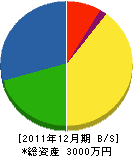 菊電機商会 貸借対照表 2011年12月期