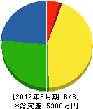 渡澄工業 貸借対照表 2012年3月期