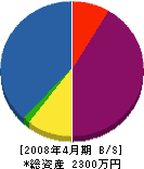 次郎土建 貸借対照表 2008年4月期
