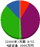 穴沢製材建設部 貸借対照表 2008年1月期
