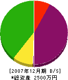 北日本建築 貸借対照表 2007年12月期