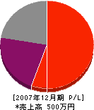 福塚塗装 損益計算書 2007年12月期