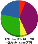 アモウ 貸借対照表 2008年12月期