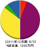 渡邉技研 貸借対照表 2011年12月期