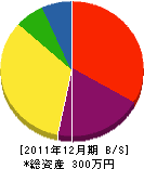 中島水道設備 貸借対照表 2011年12月期