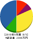 日東工業 貸借対照表 2010年9月期
