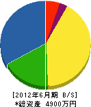 筒井土木 貸借対照表 2012年6月期
