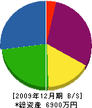 吉川組 貸借対照表 2009年12月期