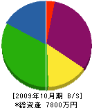 松澤石材工業 貸借対照表 2009年10月期