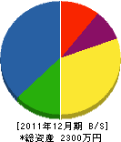 森花電気商会 貸借対照表 2011年12月期