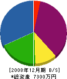 松永建設 貸借対照表 2008年12月期