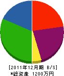 ヤマサキ設備 貸借対照表 2011年12月期