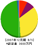 大嶋設備工業 貸借対照表 2007年12月期