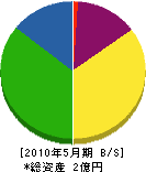 三嶋建設 貸借対照表 2010年5月期