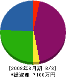 新井土木 貸借対照表 2008年6月期