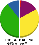 嘉穂衛生 貸借対照表 2010年3月期