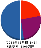 田代総業 貸借対照表 2011年12月期