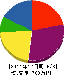 宮沢設備 貸借対照表 2011年12月期